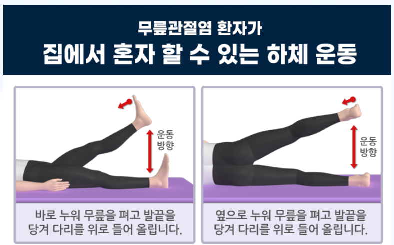 대표적인 자연 요법 소개