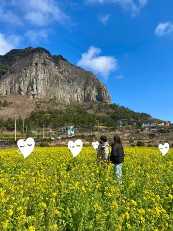 실시간 제주도 제주날씨 주간예보로_11