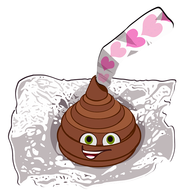 똥꿈