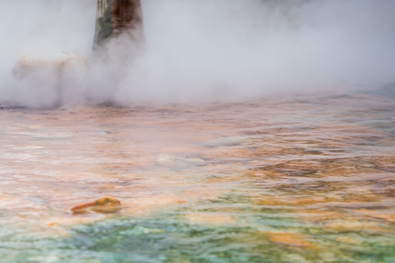 한국 건강 여행: 온천, 한방치료, 웰니스 코스