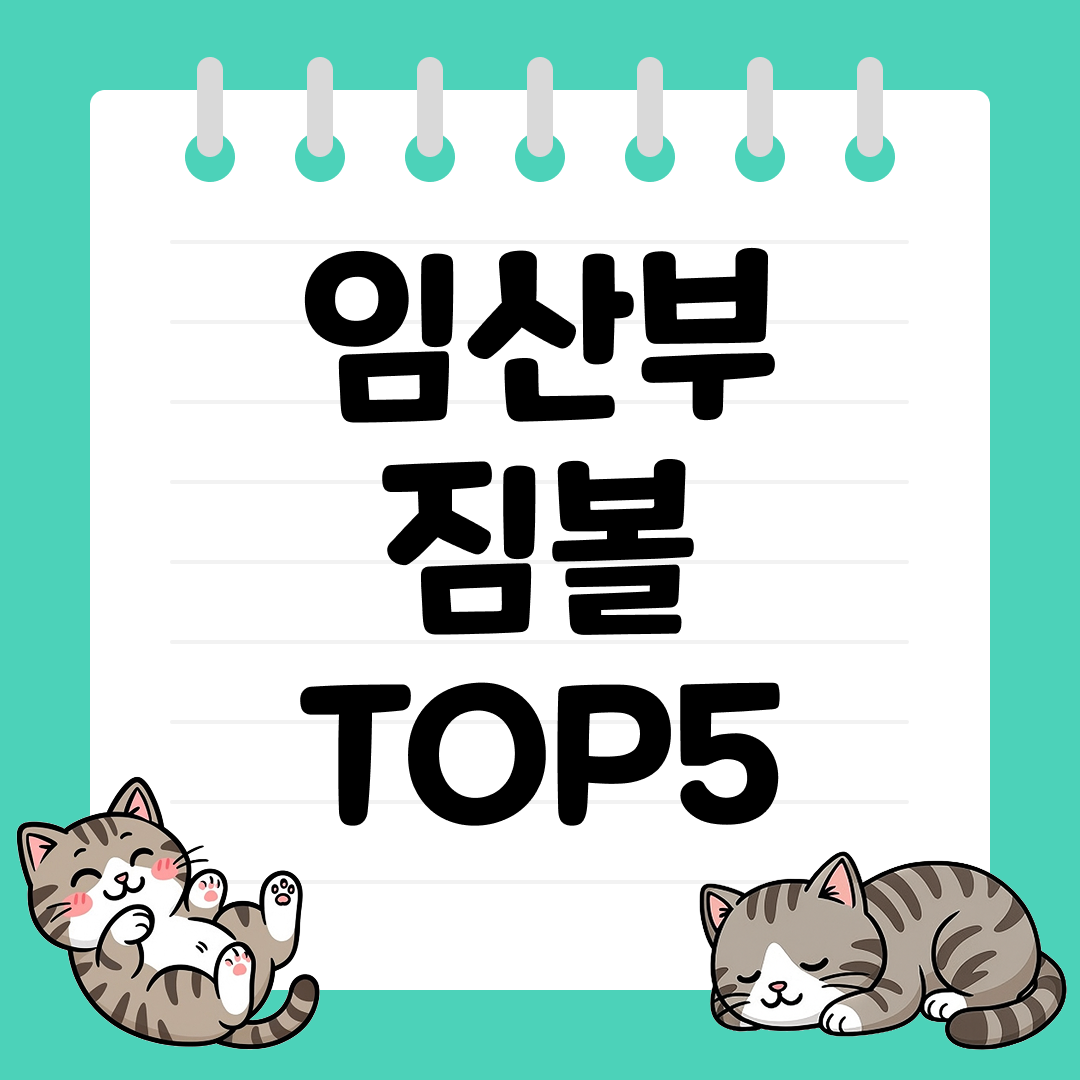 산전&middot;산후 모두 활용 가능한 임산부 짐볼 추천 TOP5