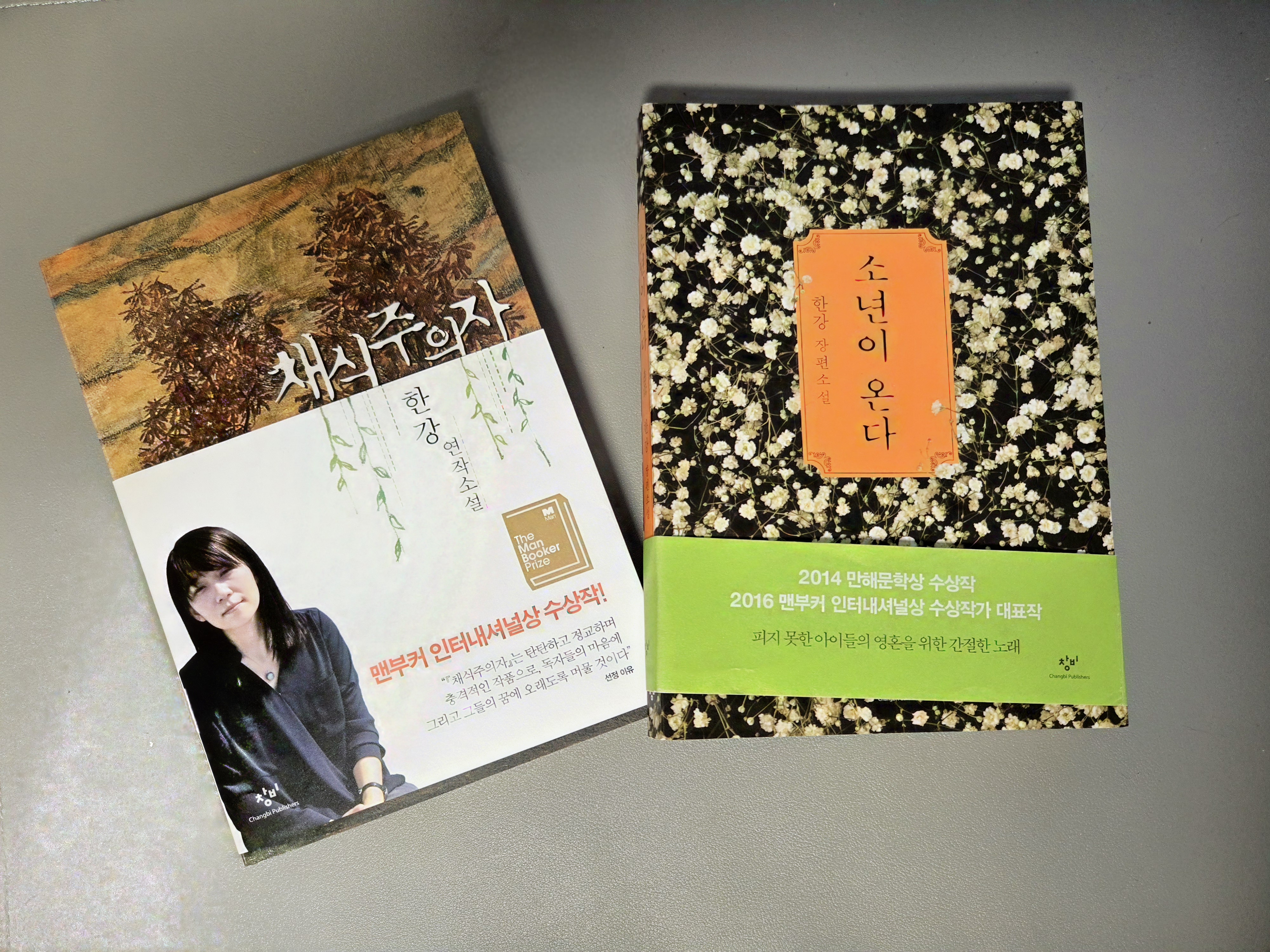 한강 작가의 채식주의자와 소년이 온다 비교