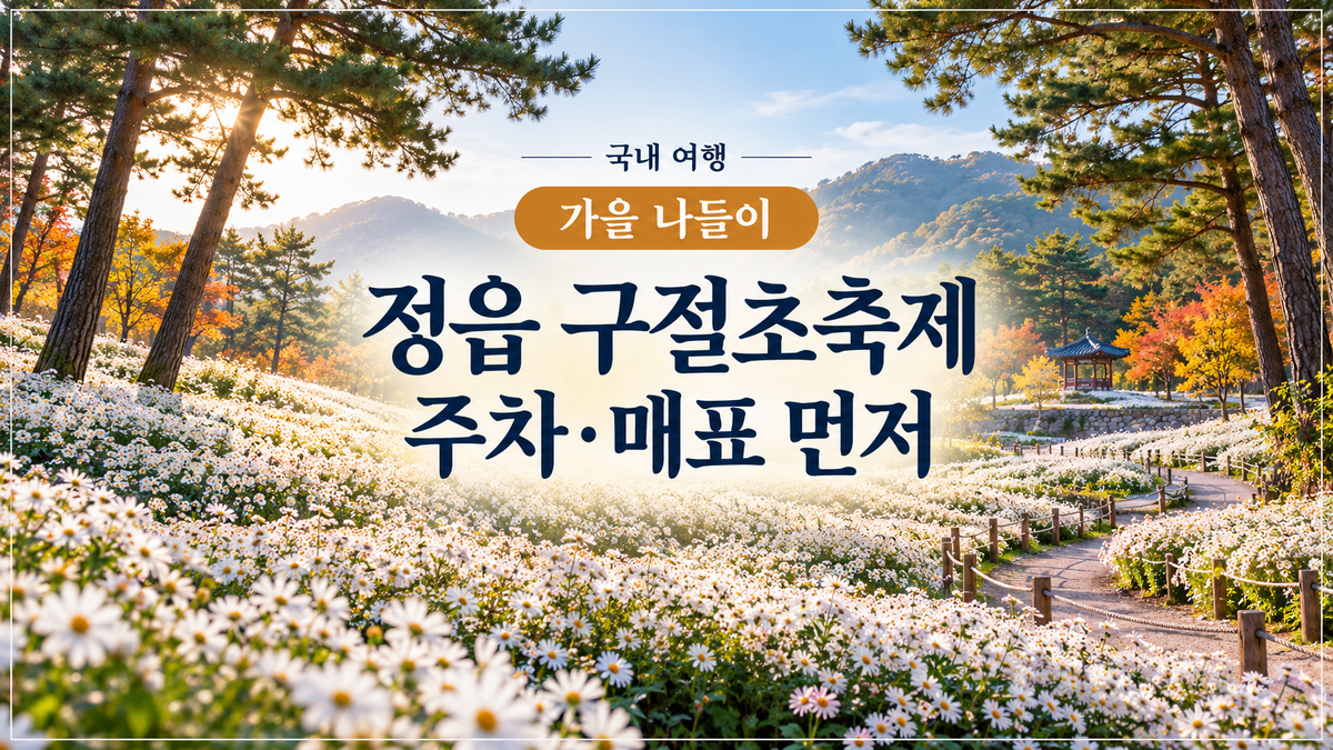 정읍 구절초 지방정원의 하얀 구절초와 솔숲, 축제 방문 전 주차와 매표 판단을 알리는 대표 이미지