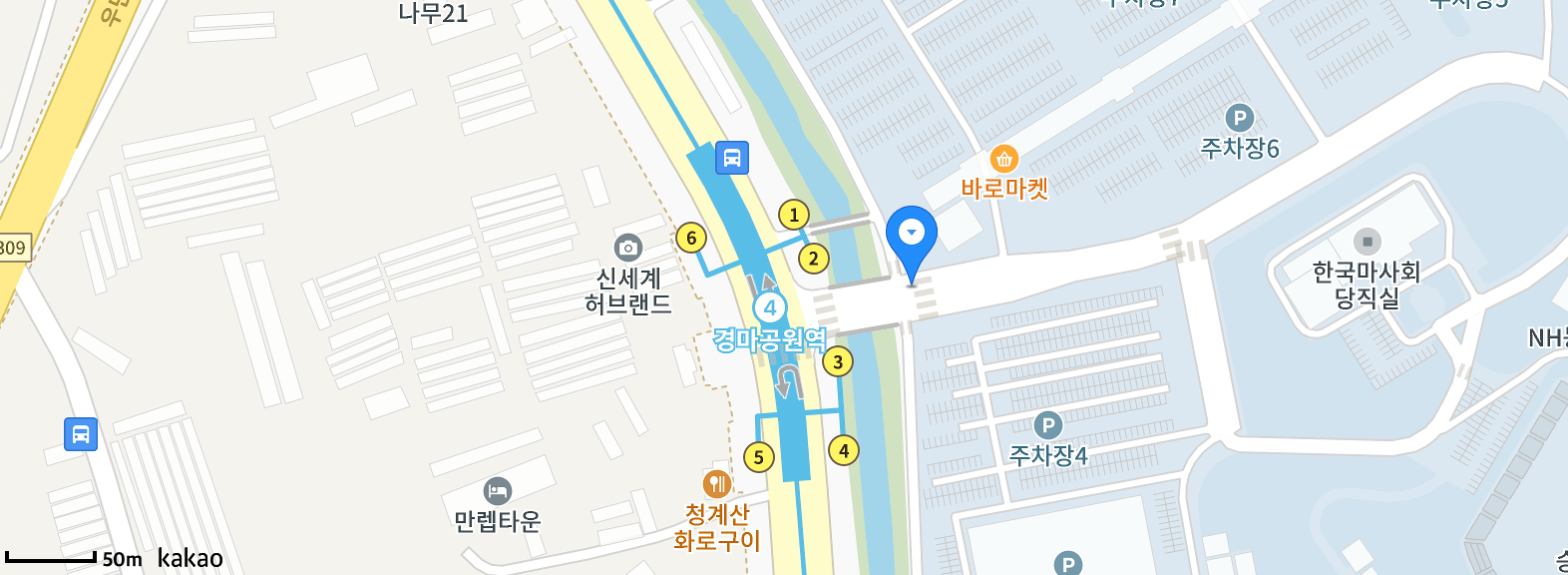 렛츠런파크 서울 벚꽃축제 '벚꽃야경'