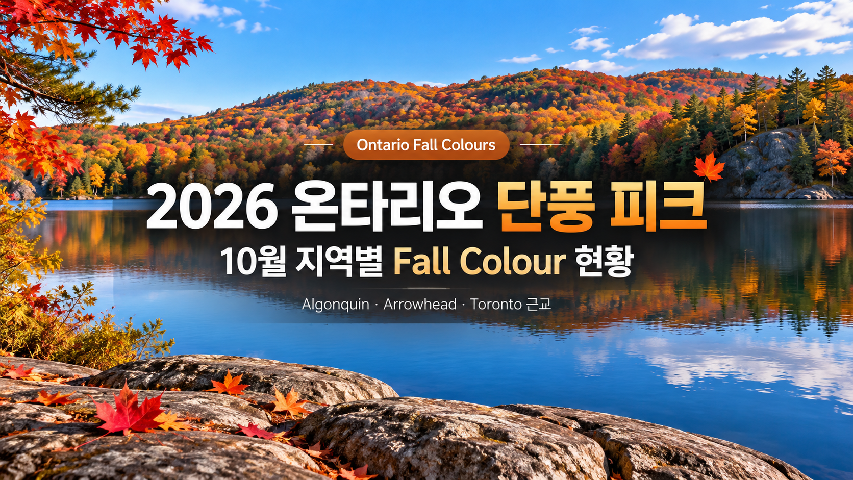 2026 온타리오 단풍 피크 언제?｜10월 지역별 Fall Colour 현황