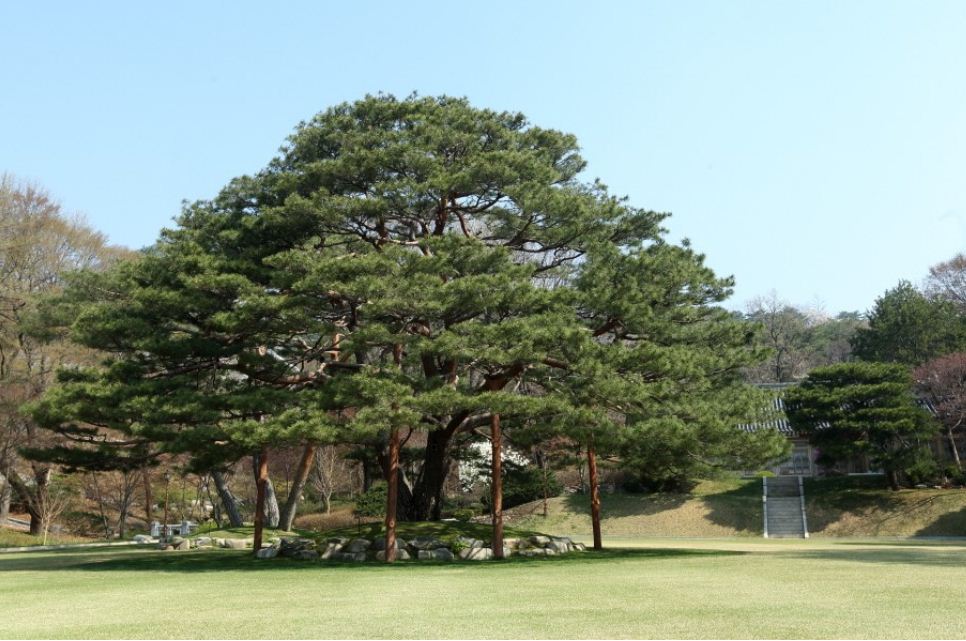 녹지원