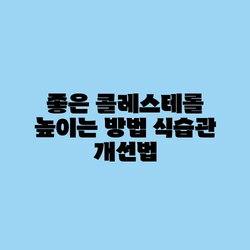 좋은 콜레스테롤 높이는 방법 식습관 개선법