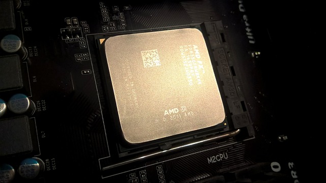 amd 상승이유