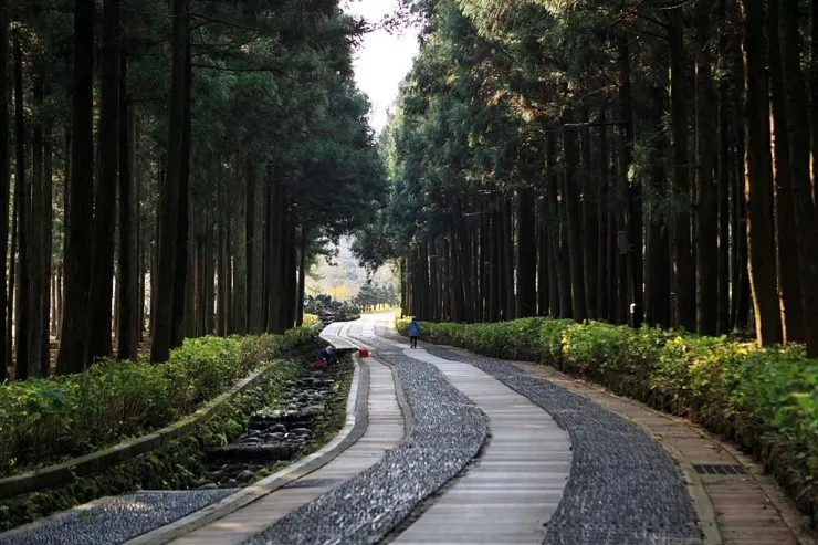 걷기 좋은 명품 숲길 50선 전국 서울 경기_7