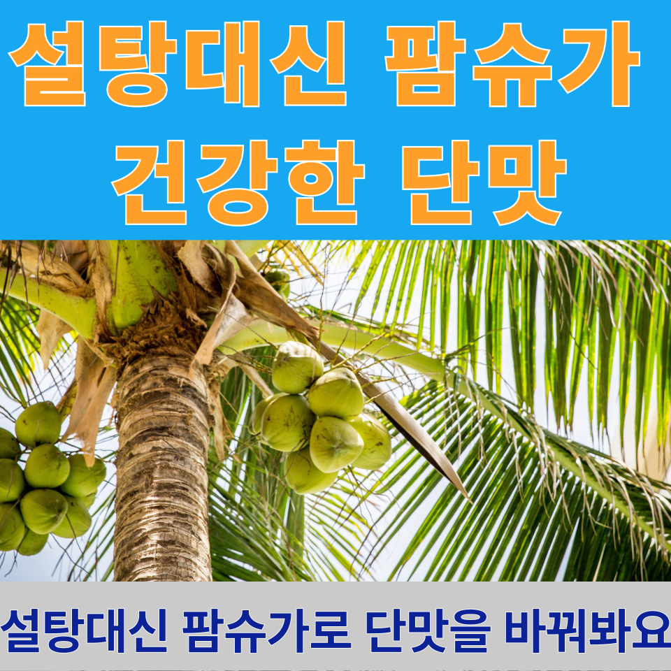 설탕 대신 팜슈가, 건강한 단맛