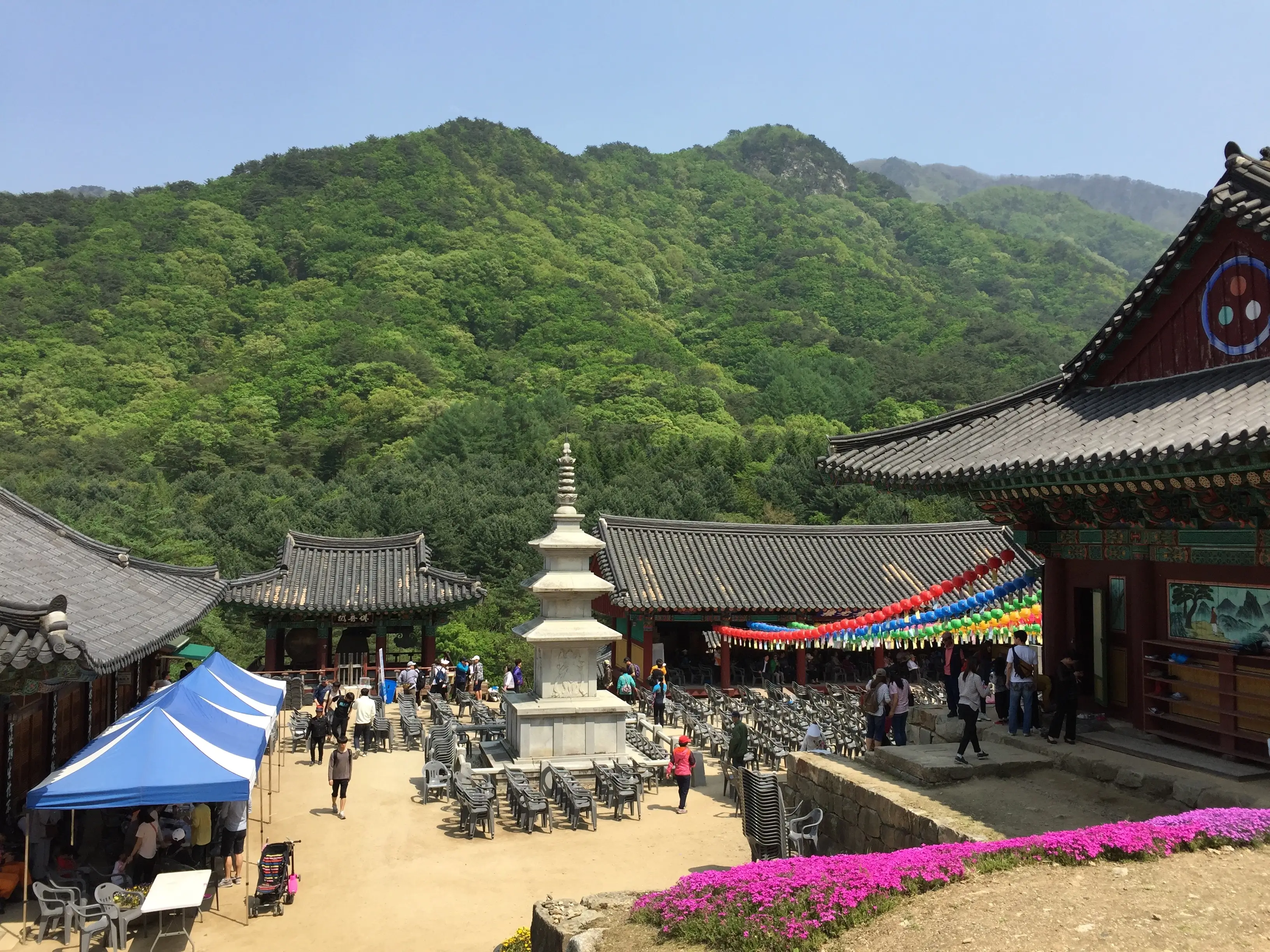 원주 구룡사의 봄, 부처님 오신 날