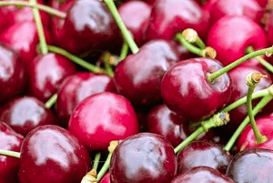 신장에좋은과일06