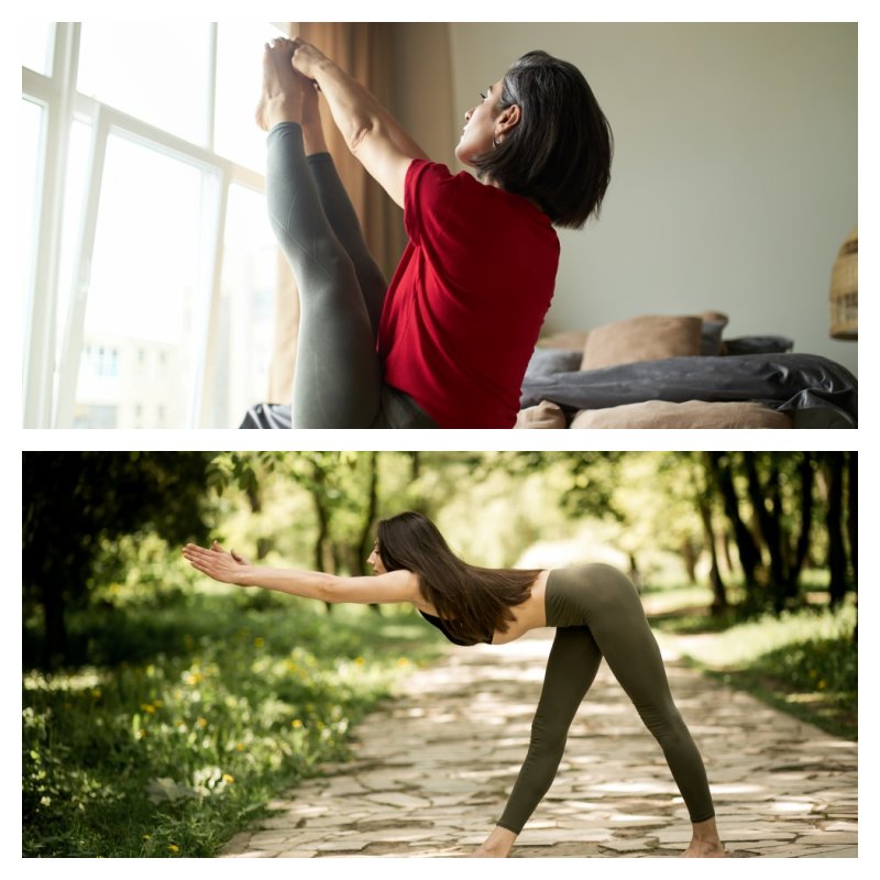 갱년기 영양제 추천 비교 안면홍조