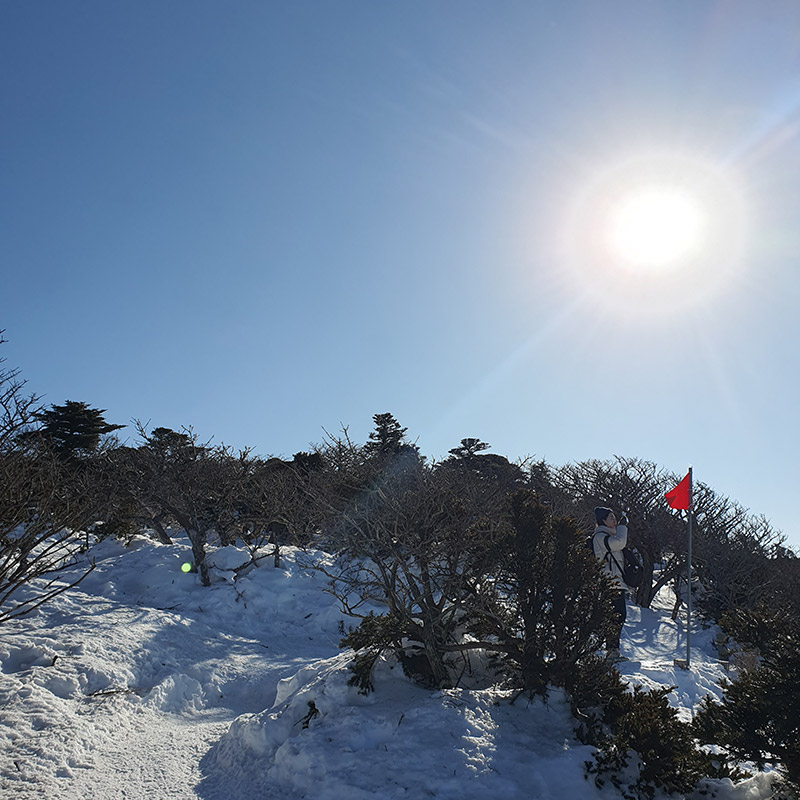 제주도 한라산 영실코스