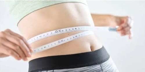 다이어트프로그램