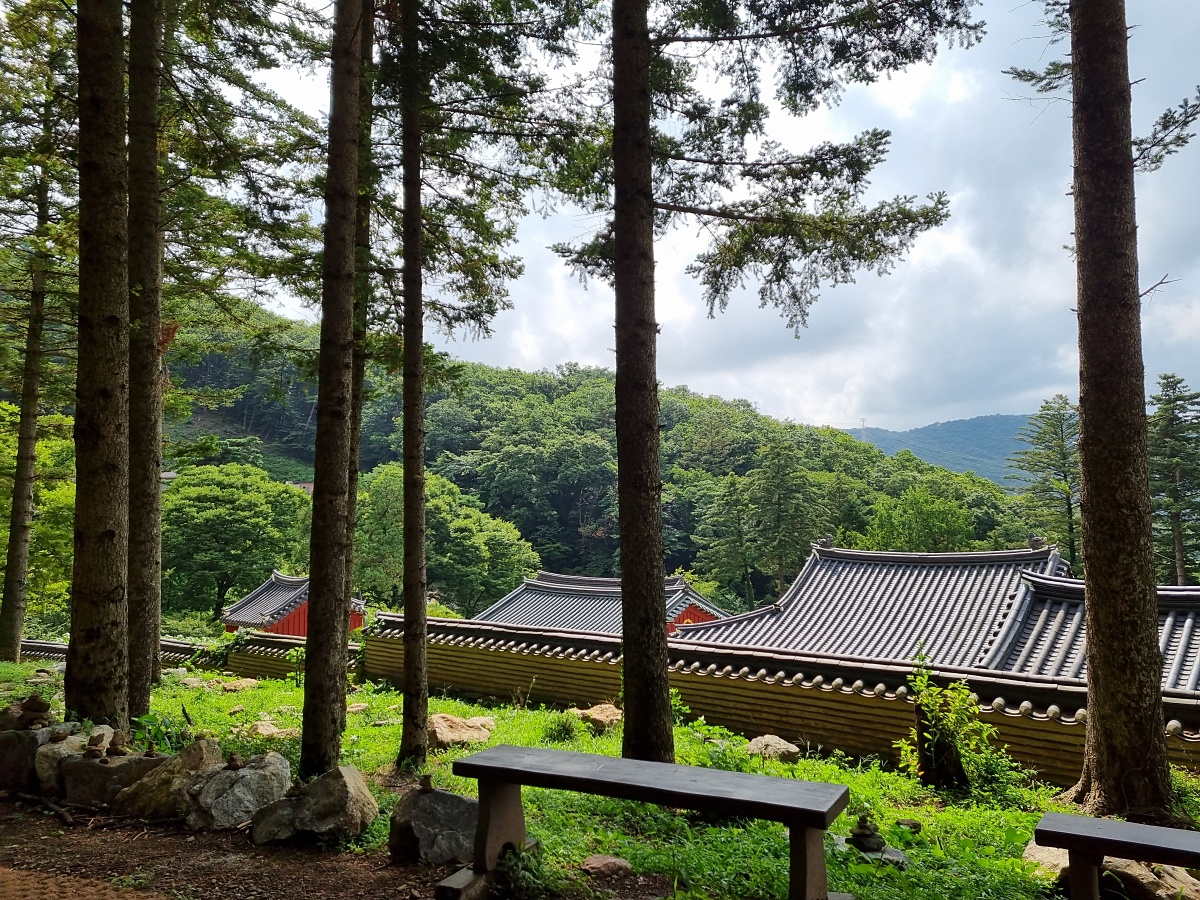 서울근교 파주 계곡 보광사: 문화, 역사, 자연이 있는 절과 물놀이하기 좋은 계곡