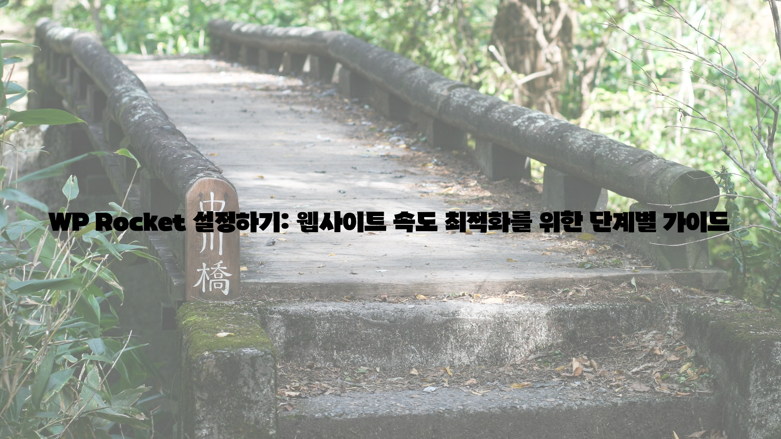 WP Rocket, 설정하기, 최적화