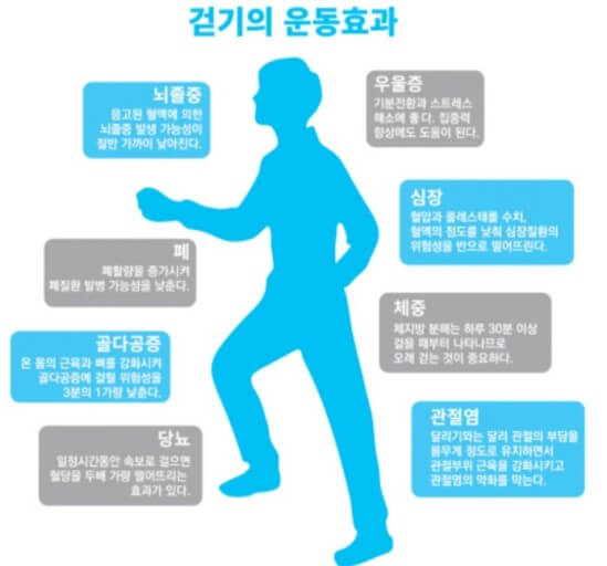 단순 걷기만 해도 좋다