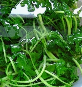 유채나물 효능 부작용 영양성분 고르는법 칼로리