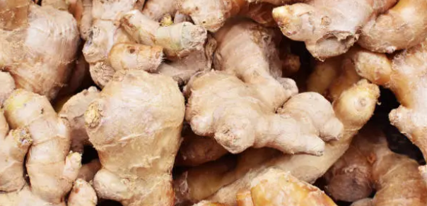 ginger