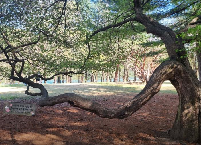 5월 국내여행지 베스트 10