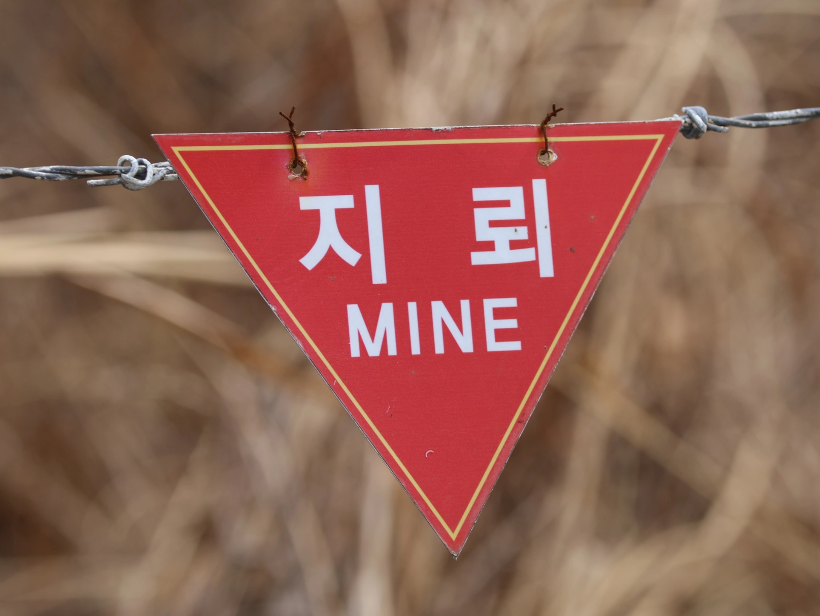 DMZ 지뢰 폭발