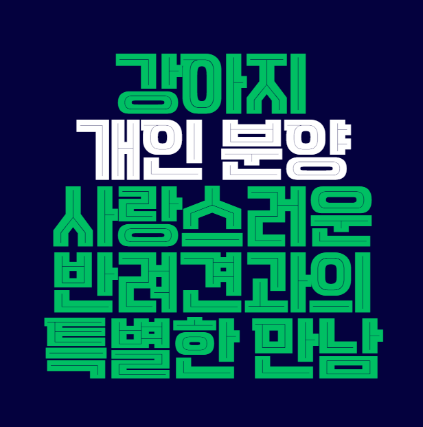 강아지_개인분양