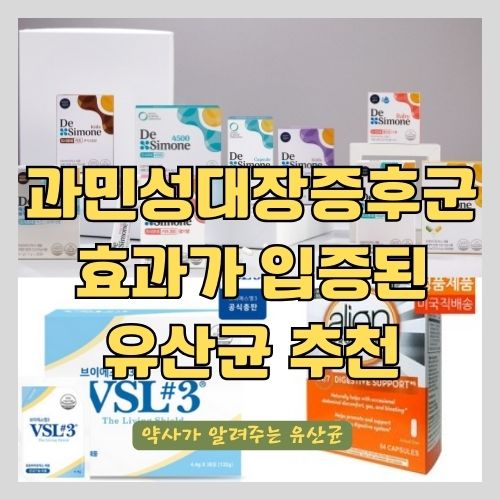 과민성대장증후군에 효과가 입증된 유산균 추천 썸네일