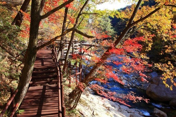 경남 함양군 백무동 계곡