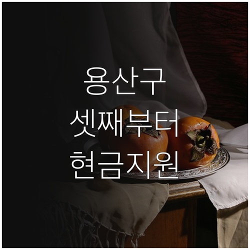 용산구 2025 출산지원금: 셋째 아..