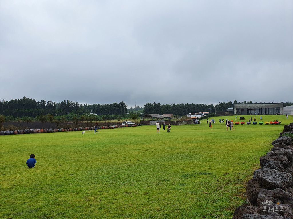 표선 보롬왓 들판