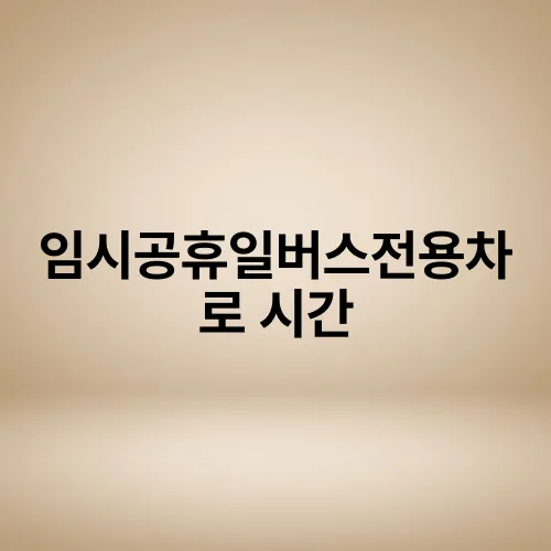 임시공휴일버스전용차로 시간