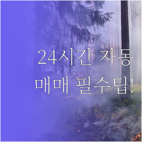 업비트 자동 매매 예약 주문으로 24..