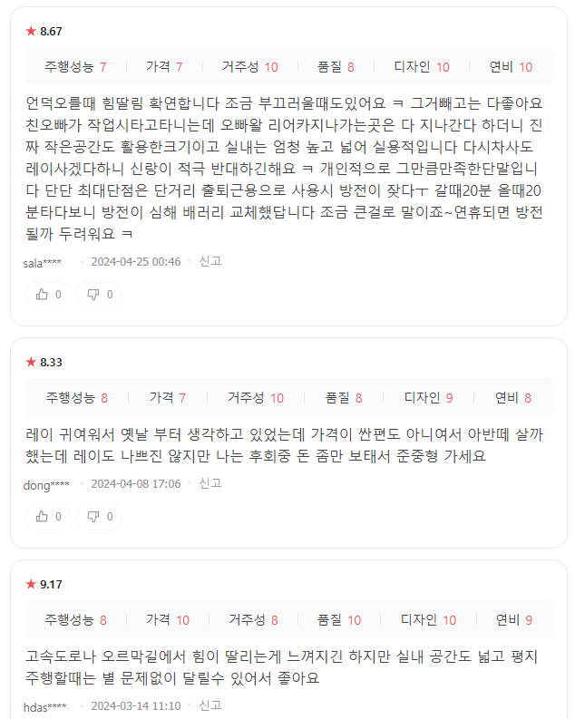 레이 실제 오너 평가