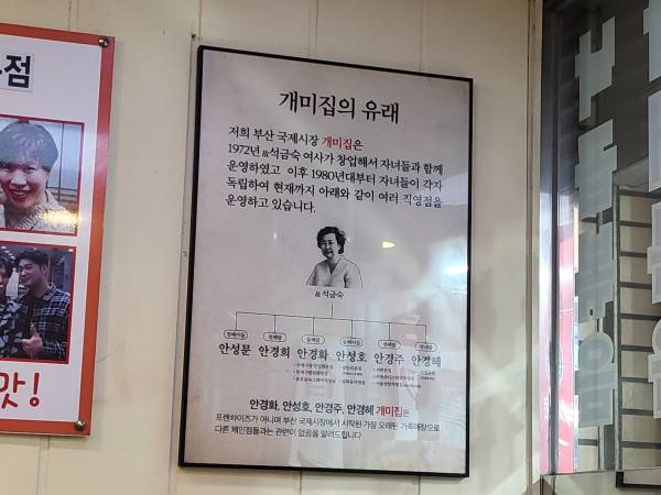 개미집-역사