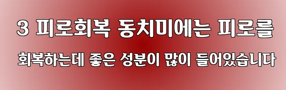  3 피로회복 동치미에는 피로를 회복하는데 좋은 성분이 많이 들어있습니다