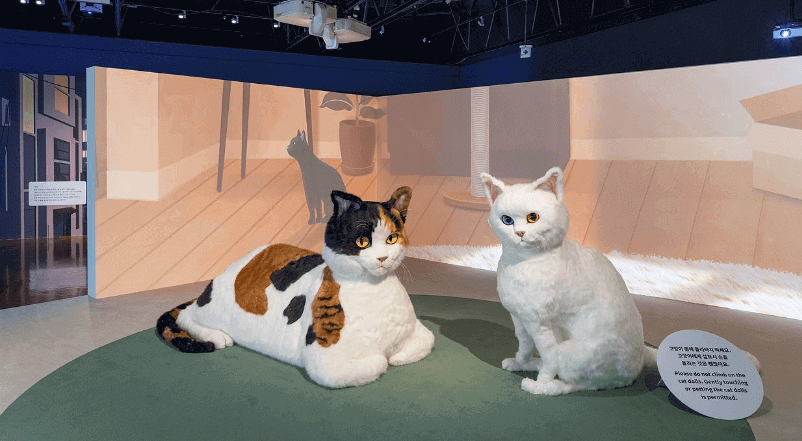 요물, 우리를 홀린 고양이 전시