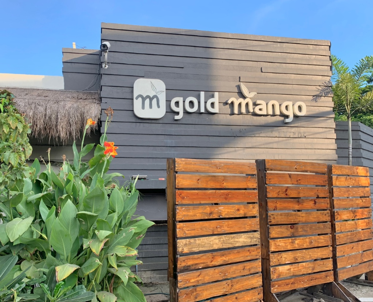 골드망고 위치