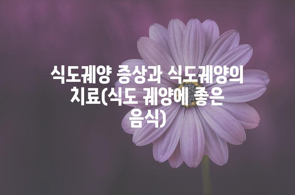 샘플 (50)