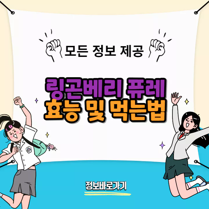 링곤베리-퓨레-효능-및-먹는법