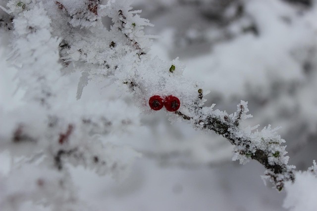 발바닥 혈자리 9