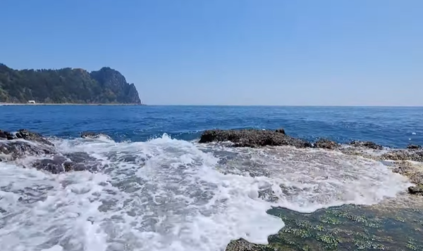 울릉도,독도여행