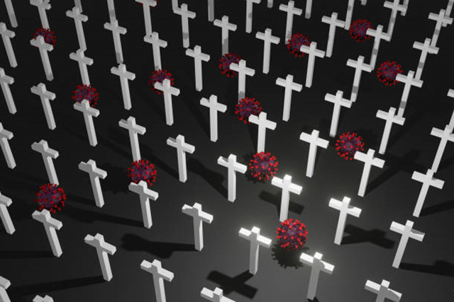 인공 미생물로 사체를 분해하는 기술, 혐오일까 혁신일까?