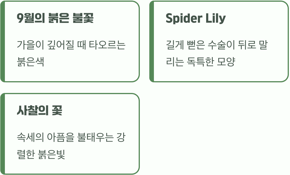 불꽃처럼 타오르는 붉은 유혹, 꽃무릇