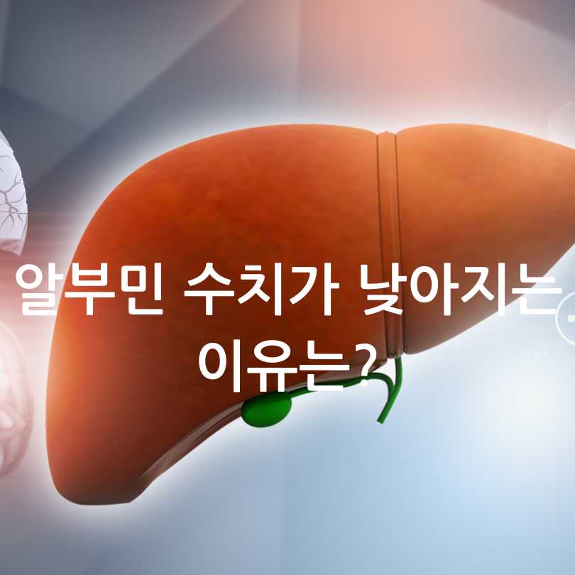 알부민 수치 올리는 법