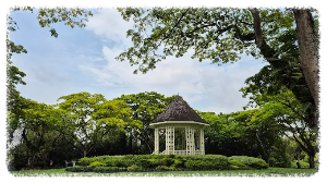 싱가포르 보타닉 가든