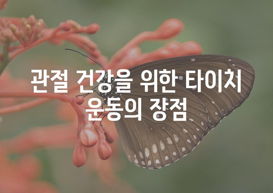 샘플 (51)