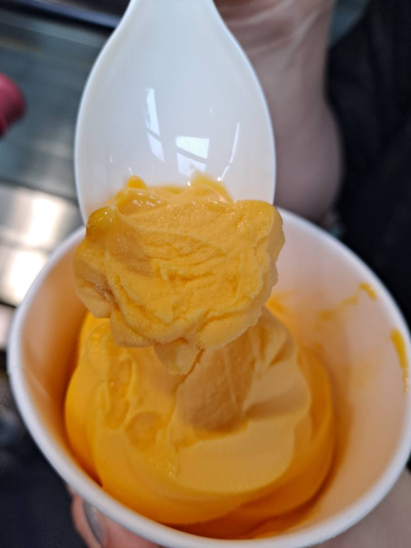 숟가락으로 소르베 한입