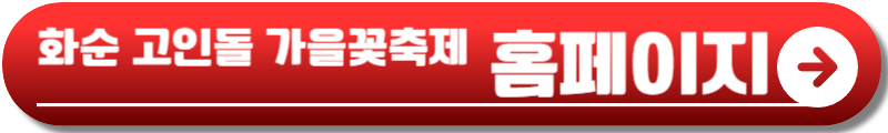 화순 고인돌 가을꽃축제