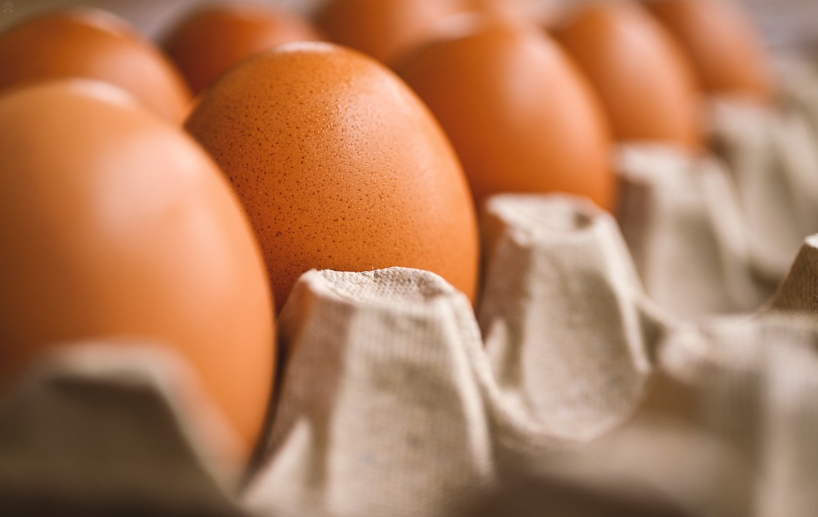 계란의 난각번호: 계란 속 숨겨진 정보 읽기